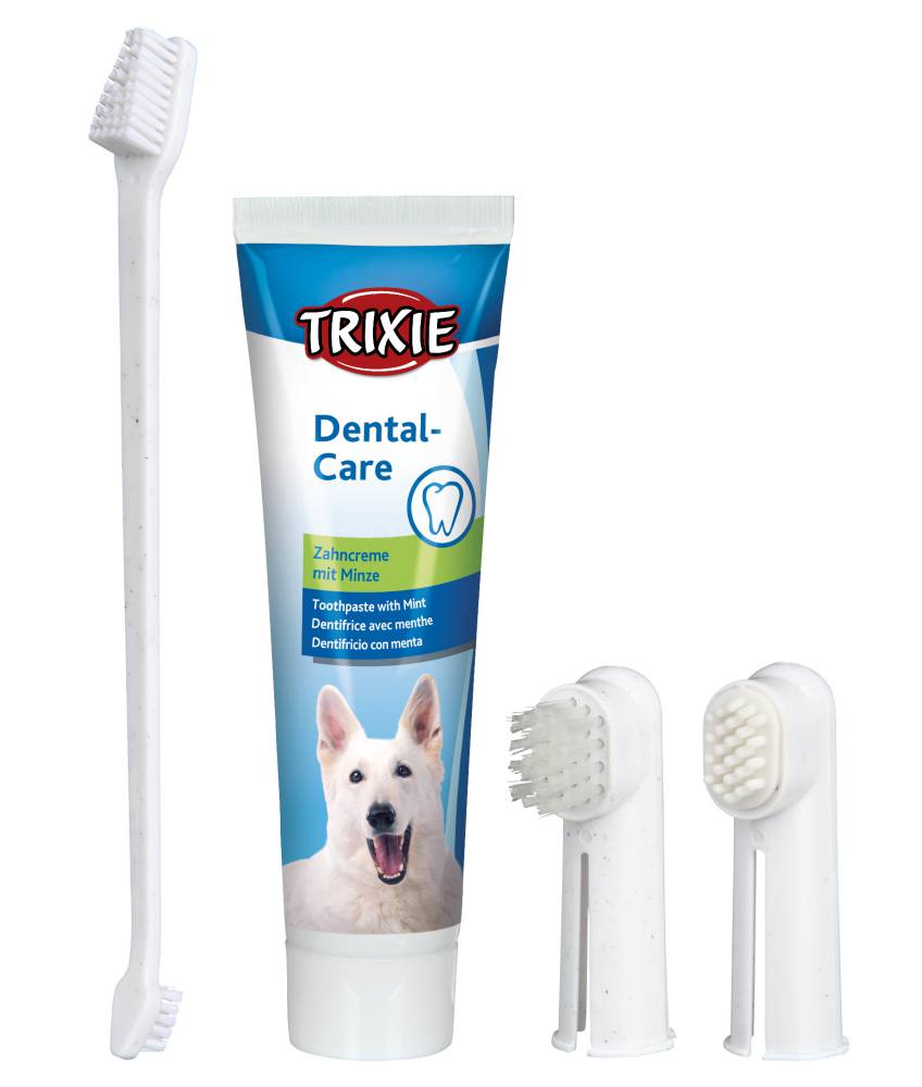 Dental hygiene set, dog, 100 g
