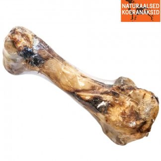 Suur veisekont XL 34-45 cm