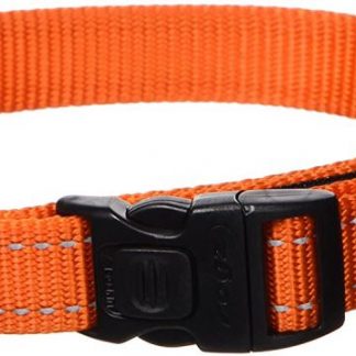 Rogz Dog Collar Fanbelt 20mm/34-56cm orange