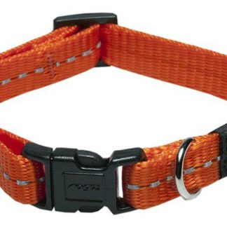 Kaelarihm Nitelife 11mm/20-31cm orange
