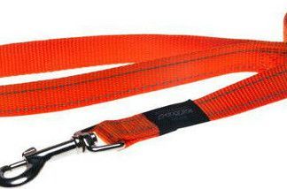 Rogz Snake 16mm/1,4m orange