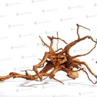 Akvaariumi Triivpuu Red moor Wood, mini, 10-20cm