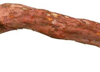 Perch with screw fixing, bark wood, 45 cm/ø 25–50 mm