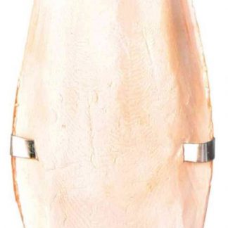 Cuttle fish bone with holder, small