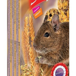STANDARD Smakers with grains for degu 2pcs 90g