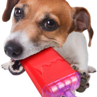 Flamingo koera jää pulgakomm, külmikusse, 16 cm