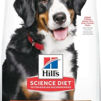 Hill's Science Plan Adult 1-5 Large Breed with Lamb & Rice 14kg