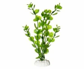 Akv.kunsttaim Karlie Moneywort 10cm