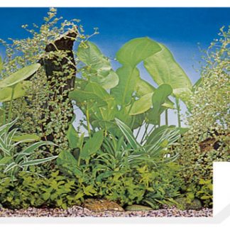 Akv.taust/fon F8-30cm (15m) 1m