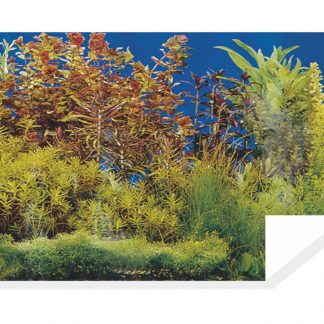 Akv.taust/fon F2-30cm (15m) 1m