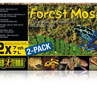 EX Forest Plume Moss, 500g