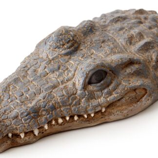 EX Croc Turtle Island