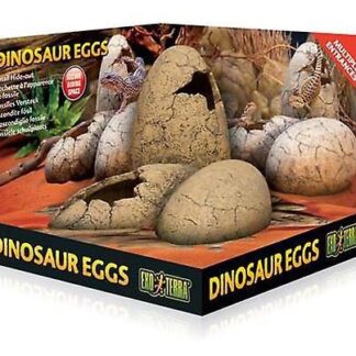 EX Dinosaur Eggs - Hide & Water D