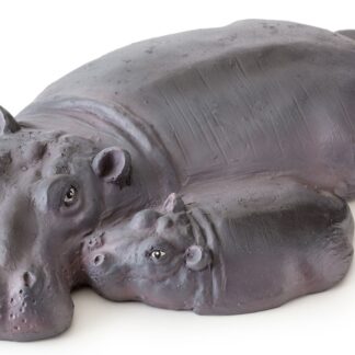EX Hippo Turtle Island