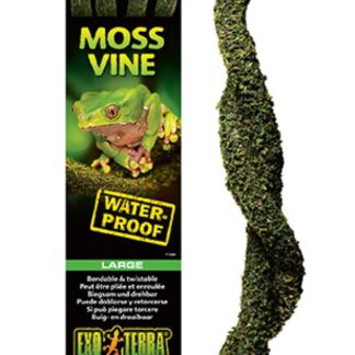 EX Moss Vine Large