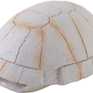 EX Tortoise Skeleton