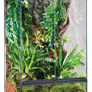 EX All Glass Terrar.,60x45x90cm