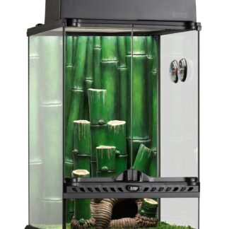EX Bamboo Forest Habitat Small