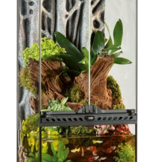EX Natural Paludarium 30x30x60 cm