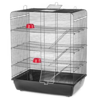 Cage Remy Color G126