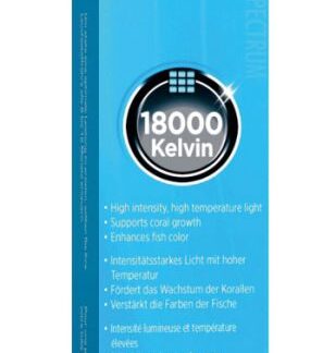 T5HO Fluor.Bulb Pwr-Spectrum 24W