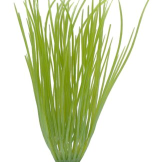 Marina AquaScaper 20cm Hairgrass-V