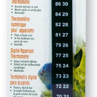 Marina Minerva Digital Thermometer-V