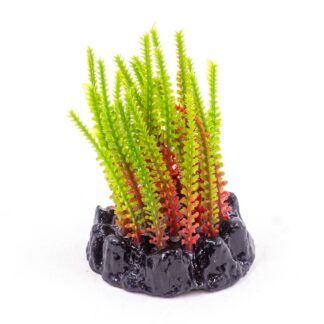 Plastic plant Q-090A 4"