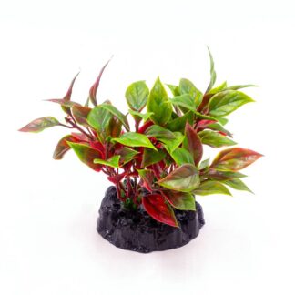 Plastic plant Q-153A 4"