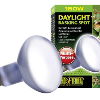 Day Glo Basking Spot Lamp 150W-V