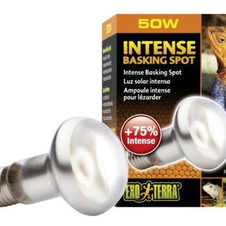 Rep.Basking Spot Lamp,50W,63mm-V