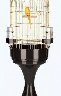 CAGE MAX 6 ANTIQUE BRASS 56X56X77CM