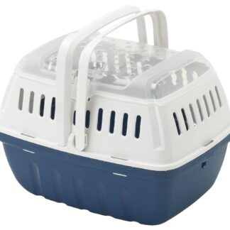 Hipster small blue berry