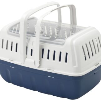 Hipster large blue berry