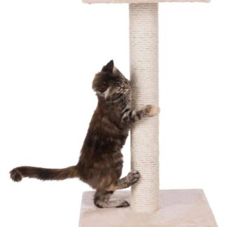 Espejo scratching post, 69 cm, beige
