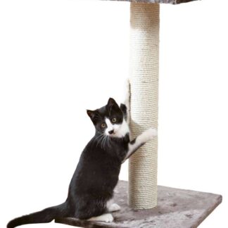 Espejo scratching post, 69 cm, platinum grey