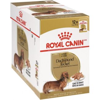 Royal Canin BHN Dachshund Wet 85g x 12 tk