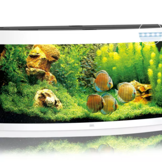 Vision 450 LED white