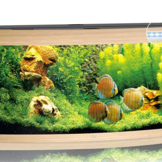 Vision 450 LED light wood