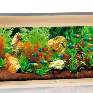 Rio 180 LED light wood