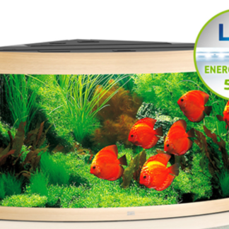 Trigon 190 LED light wood