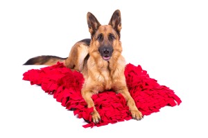 HUNNY Legowisko dla psa MOFI - czerwone