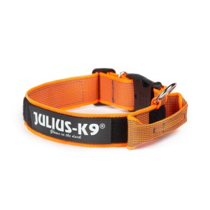 JULIUS K9® Pomarańczowa obroża dla psa 50mm z zamykanym uchwytem i bezpiecznym zapięciem 49-70 cm