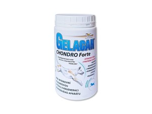 ORLING Chondrocan Forte 500 g
