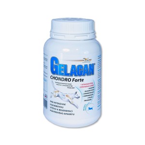 ORLING Chondrocan Forte 150 g