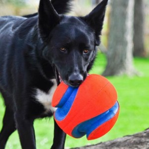 CHUCKIT! KICK FETCH LARGE  - duża piłka dla psa