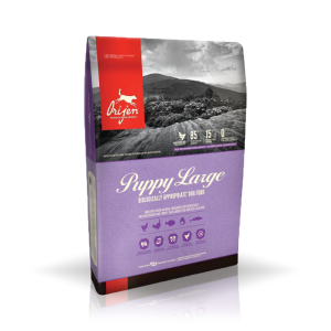 ORIJEN Puppy Large sucha karma dla szczeniąt 6kg
