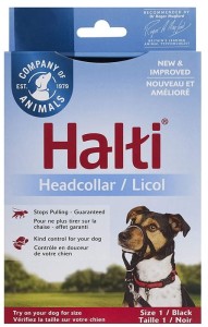 Halti Black Headcollar - halter zapobiegający ciągnięciu na smyczy