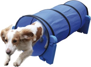 Small Dog Agility Tunnel - tunel dla małych i średnich psów
