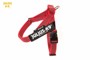 JULIUS K9® Szelki dla psa pasowe MINI-MINI czerwone